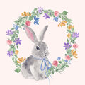 Image Not Available